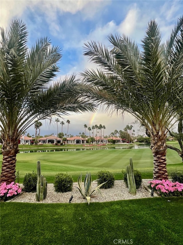 view of community featuring a yard and golf course view