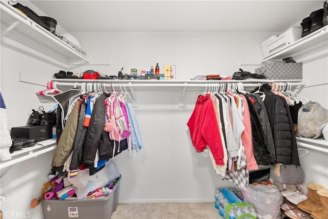 walk in closet featuring carpet flooring