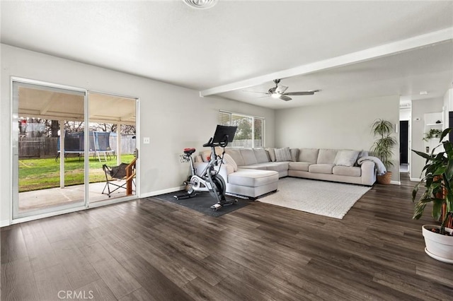 exercise room featuring ceiling fan, baseboards, and wood finished floors