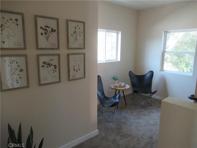 living area with a healthy amount of sunlight, baseboards, and dark colored carpet