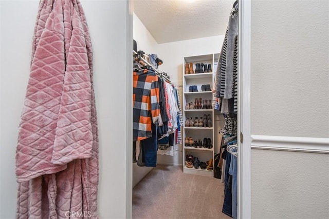 walk in closet with carpet