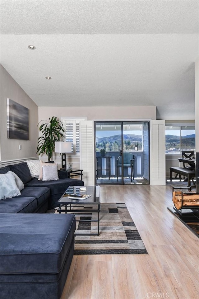 living area featuring a textured ceiling and wood finished floors