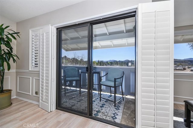 doorway featuring light wood-style floors and a wealth of natural light