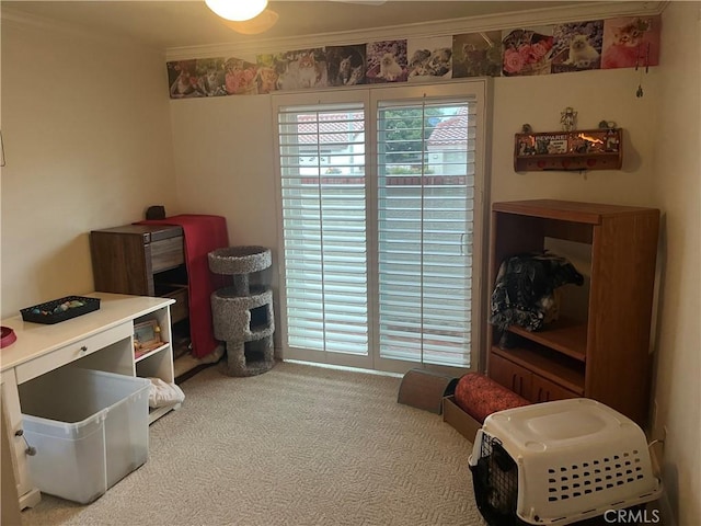 miscellaneous room featuring carpet and crown molding