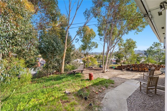 view of yard with a patio area