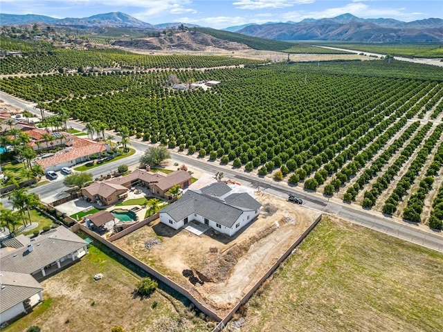 aerial view with a rural view and a mountain view