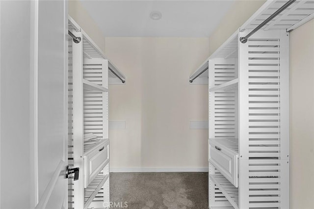 spacious closet featuring dark carpet