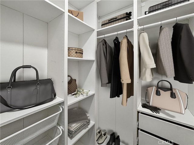 view of spacious closet