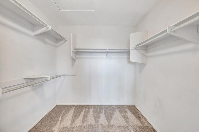 walk in closet featuring carpet flooring