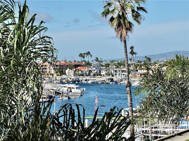 view of water feature with a dock