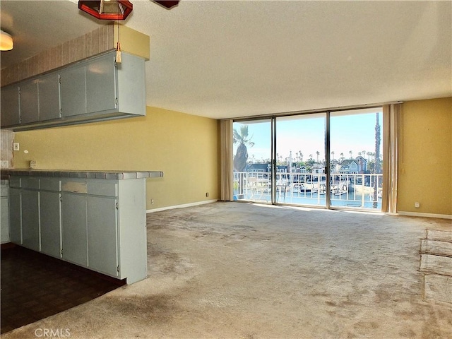 unfurnished living room with carpet, floor to ceiling windows, and baseboards