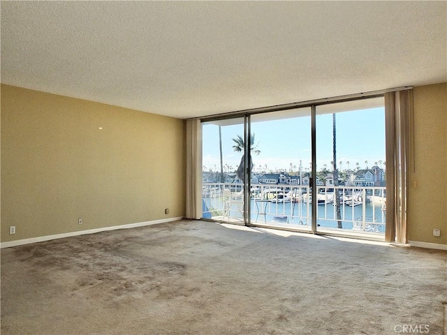 unfurnished room with a wall of windows, plenty of natural light, carpet floors, and baseboards