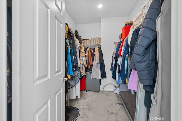 spacious closet with light colored carpet