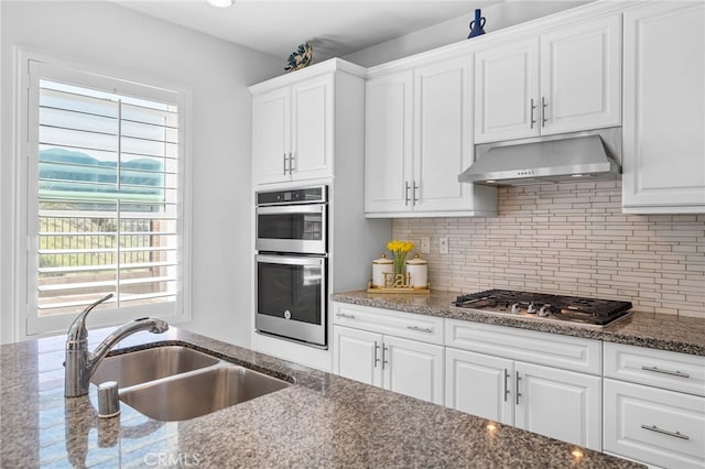 kitchen with stainless steel appliances, extractor fan, a sink, and white cabinets