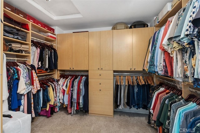 walk in closet with light carpet and attic access