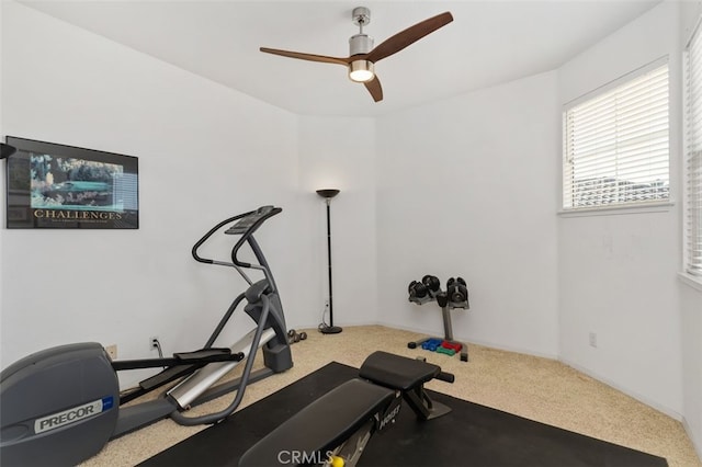 workout area featuring ceiling fan and carpet