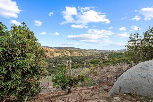 45200 Camaron Rd, Temecula, CA 92590 - photo 63