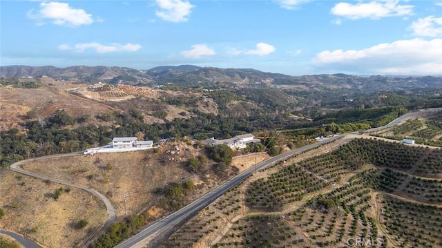 45200 Camaron Rd, Temecula, CA 92590 - photo 71