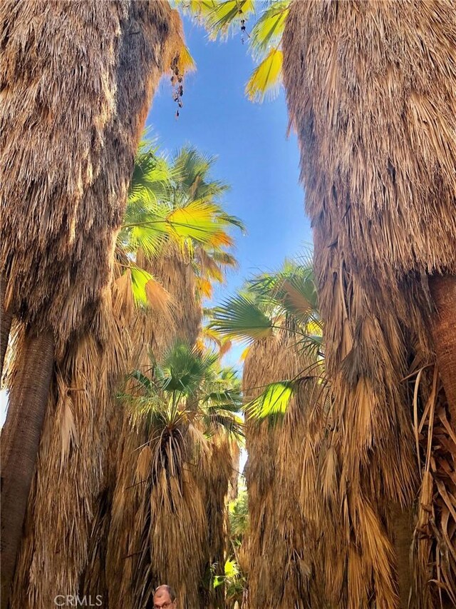 300 S Patencio Rd, Palm Springs, CA 92262 - photo 46