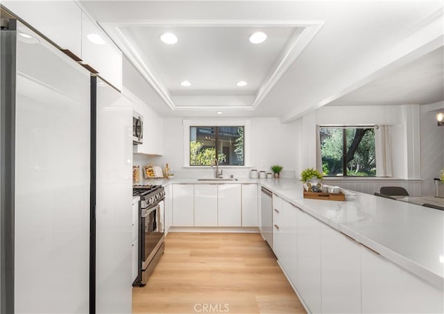 kitchen featuring stainless steel appliances, a raised ceiling, white cabinetry, a sink, and modern cabinets