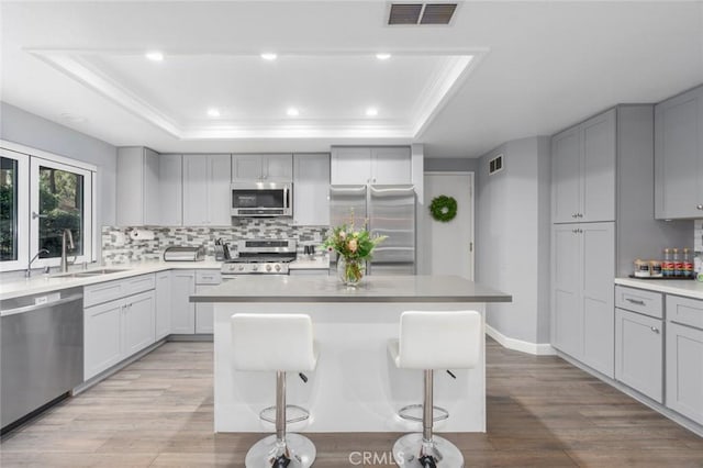 kitchen featuring a sink, stainless steel appliances, light countertops, and a raised ceiling