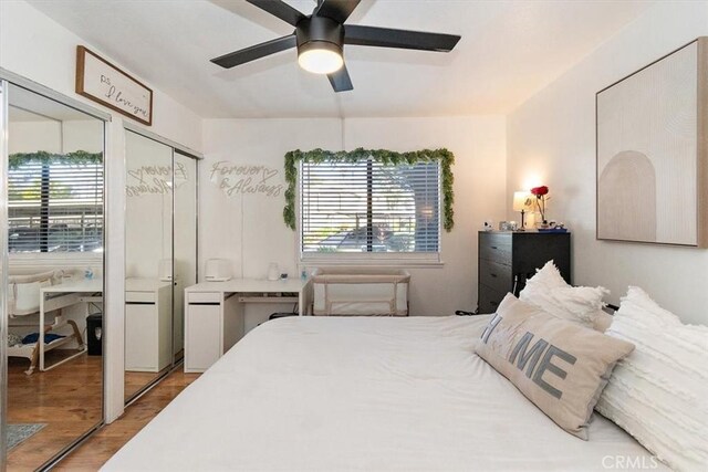 bedroom featuring light wood-type flooring, multiple windows, and ceiling fan