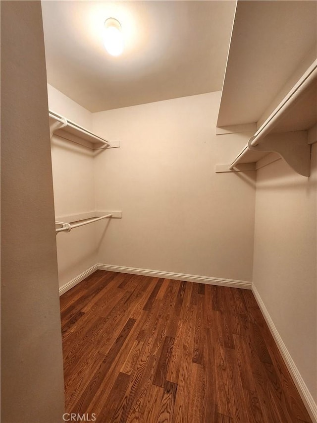 walk in closet featuring wood finished floors