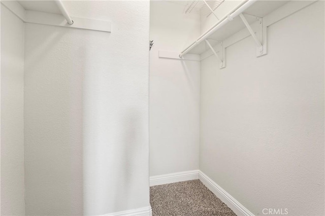 spacious closet featuring carpet