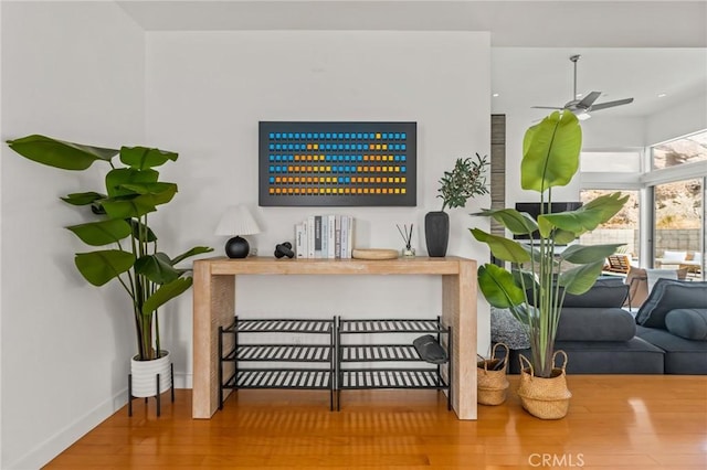 room details featuring wood finished floors, a ceiling fan, and baseboards