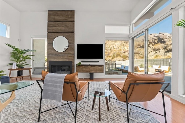 living room featuring a large fireplace and light wood-style flooring