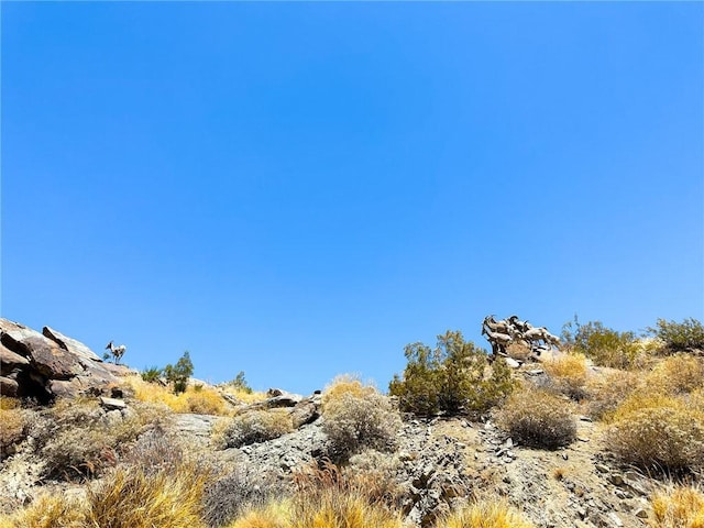 view of local wilderness