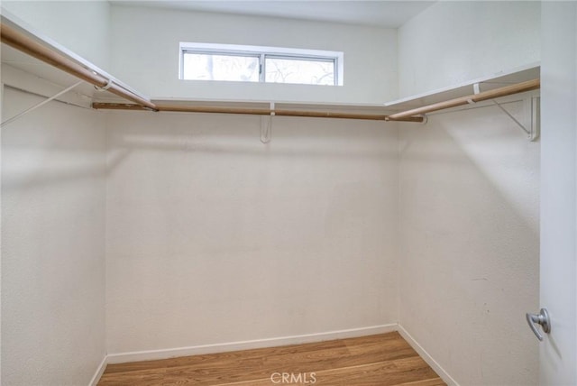 spacious closet featuring light wood finished floors