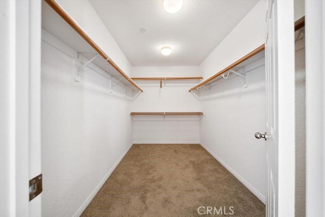 spacious closet with carpet floors