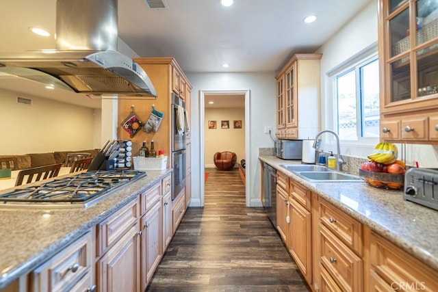 kitchen featuring island range hood, glass insert cabinets, light stone counters, stainless steel appliances, and a sink