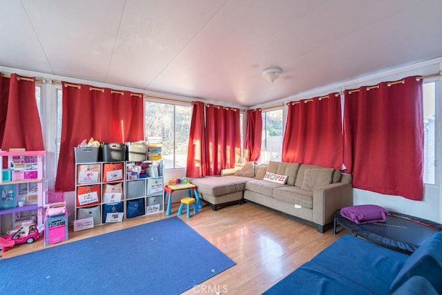 interior space with plenty of natural light and wood finished floors