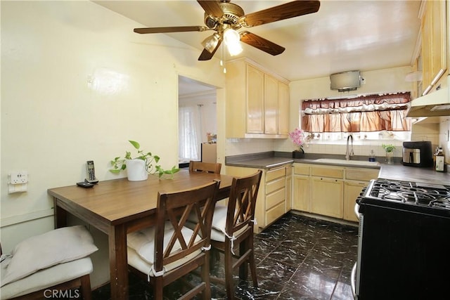 kitchen with marble finish floor, backsplash, light brown cabinetry, a sink, and stainless steel gas range