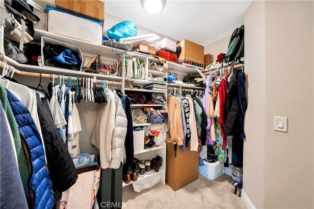 walk in closet featuring carpet floors