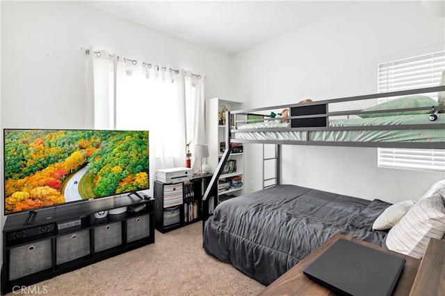 bedroom with carpet floors