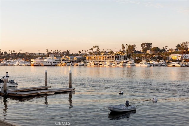 dock area with a water view