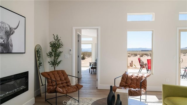 living area with a healthy amount of sunlight, light wood-type flooring, and a glass covered fireplace