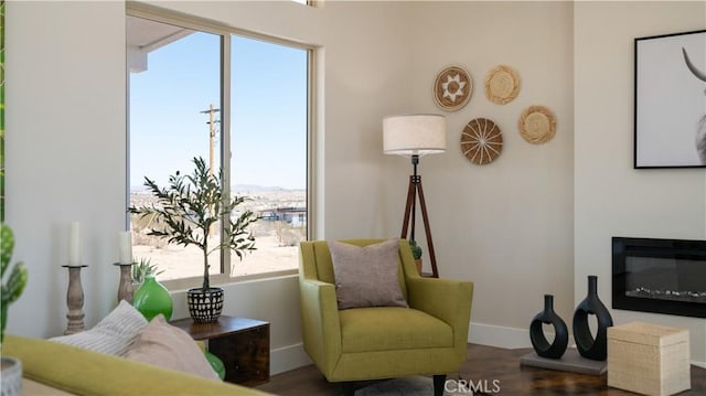 sitting room with baseboards, wood finished floors, and a glass covered fireplace