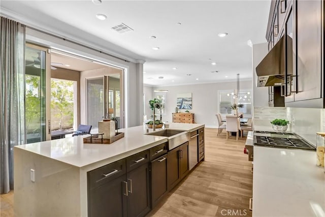 58 Sagan Way, Irvine, CA 92618 - kitchen with a sink, under cabinet range hood, a kitchen island with sink, light wood-type flooring, and healthy amount of natural light