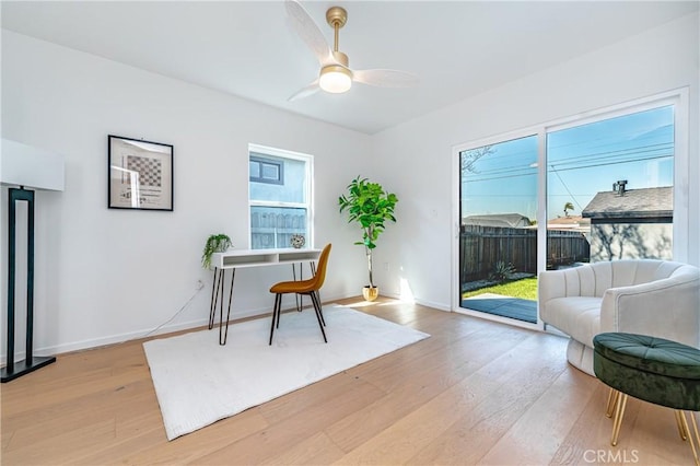 office with light wood-type flooring, plenty of natural light, baseboards, and a ceiling fan