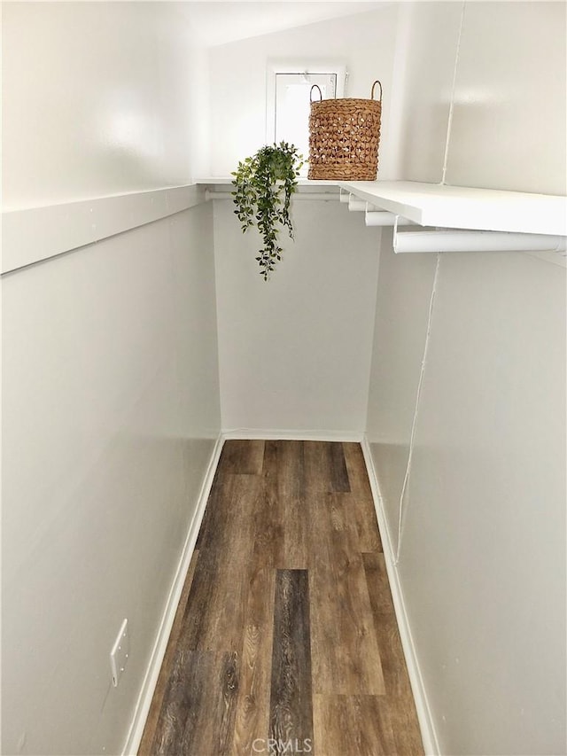 walk in closet with wood finished floors