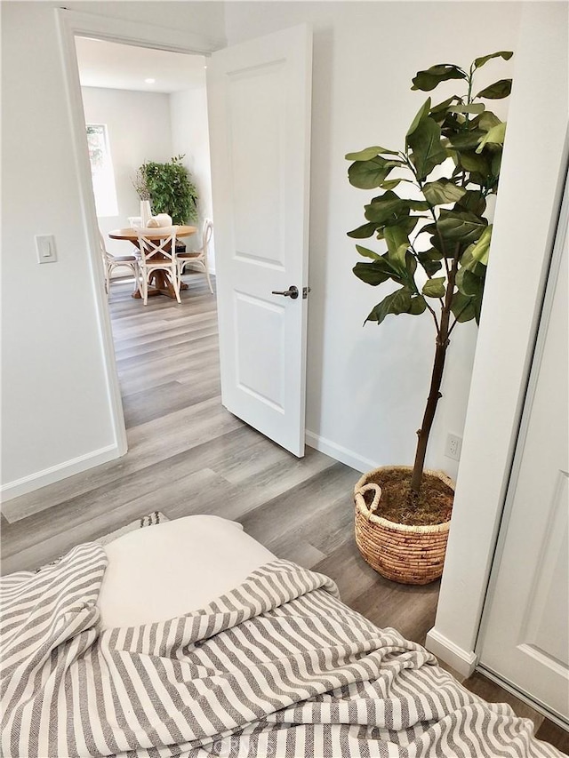 interior space with baseboards and wood finished floors