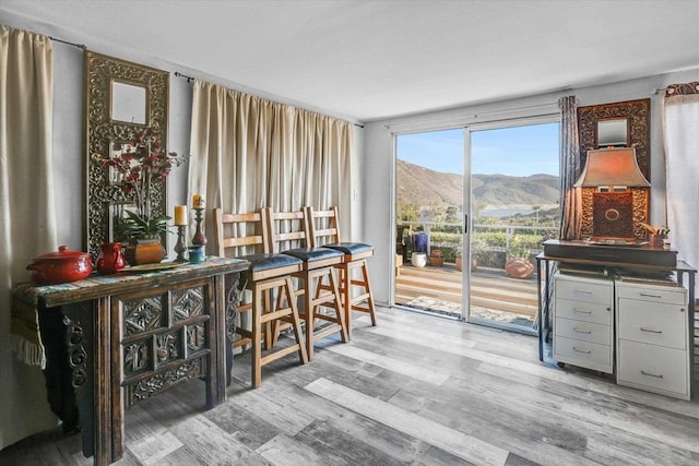 interior space featuring light wood-type flooring and a mountain view