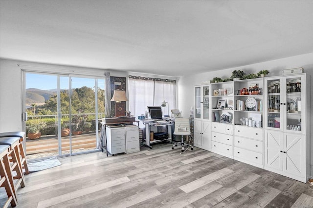 office with light wood finished floors and a mountain view