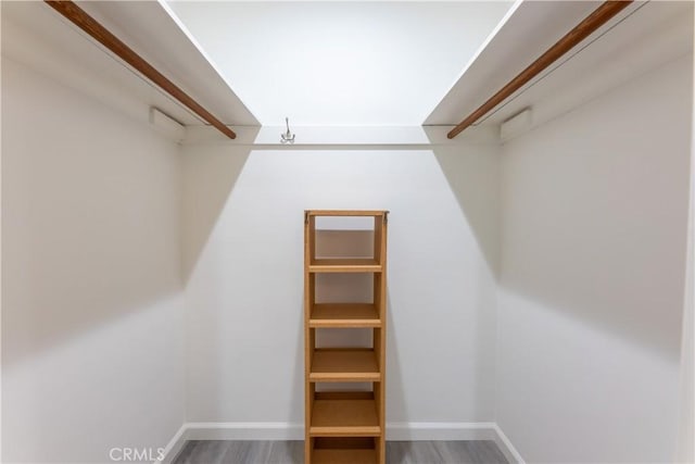 spacious closet featuring wood finished floors