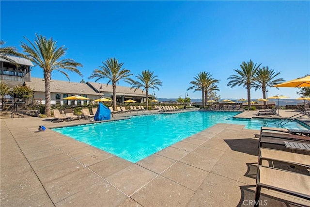 pool featuring a patio area and fence