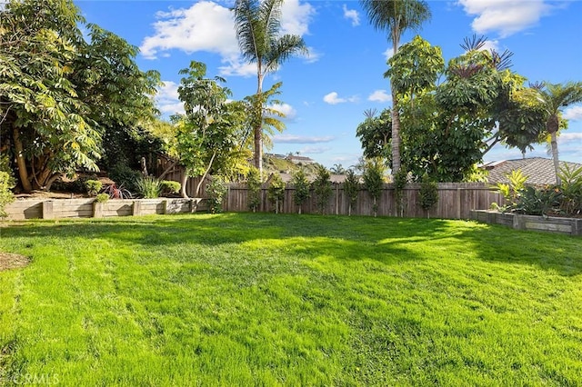 view of yard featuring a fenced backyard